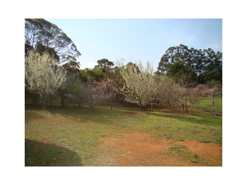 34 Maslin Street, Bridgetown WA 6255