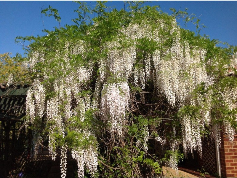 72 River Road, Bridgetown WA 6255