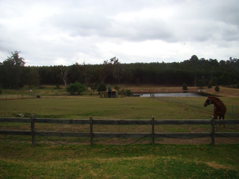 41 Papalias Road, North Greenbushes WA 6254