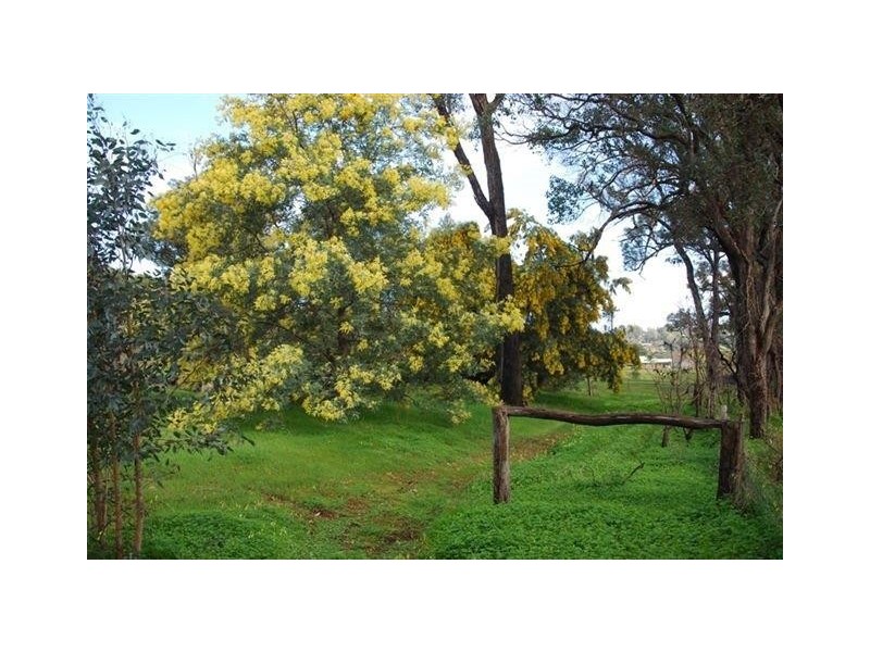 19 Cleopatra Cresent, Bridgetown WA 6255