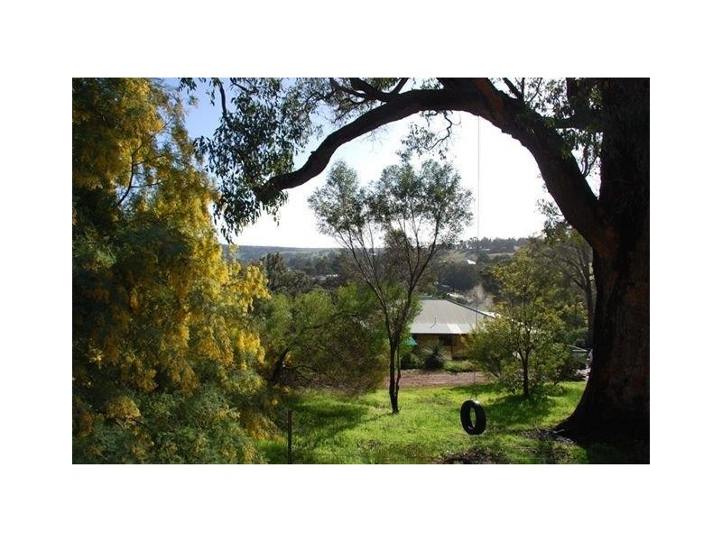 19 Cleopatra Cresent, Bridgetown WA 6255