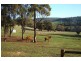 45 Sunridge Drive, Bridgetown WA 6255