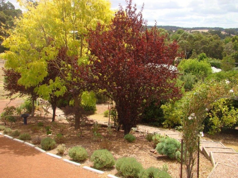 23 Henry Street, Bridgetown WA 6255