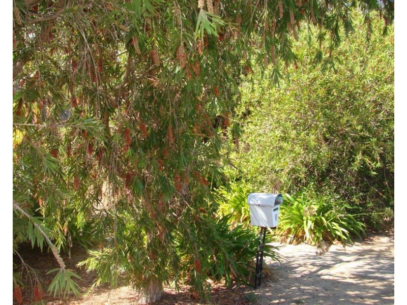 6 Forrest st, Boyup Brook WA 6244