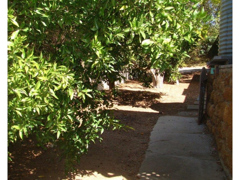 6 Forrest st, Boyup Brook WA 6244