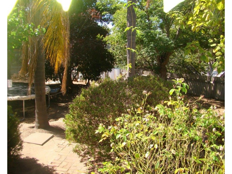 6 Forrest st, Boyup Brook WA 6244