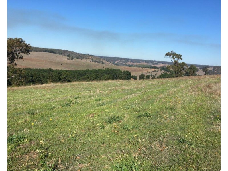 Lot 125 Golden Ash Rise, Bridgetown WA 6255