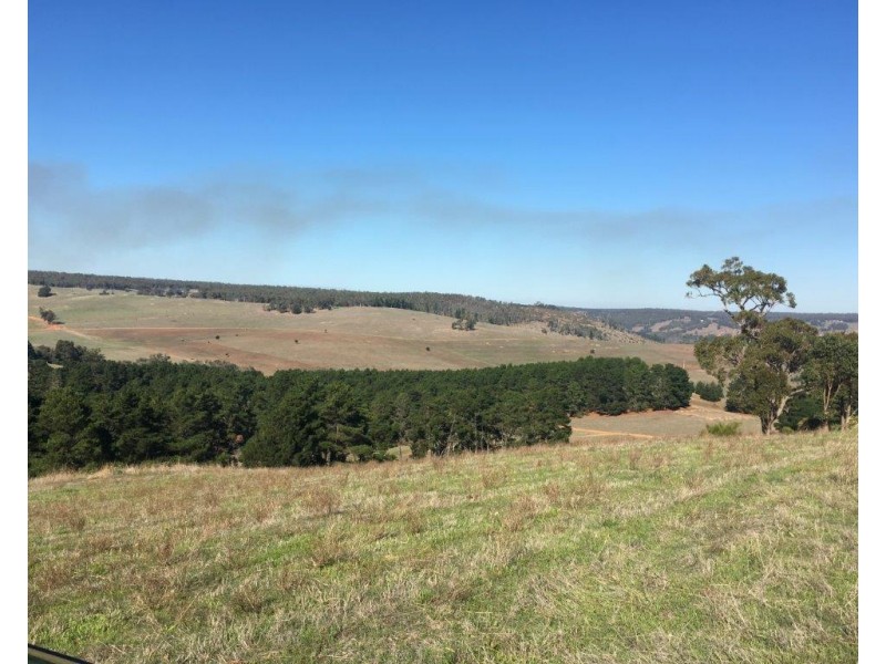 Lot 125 Golden Ash Rise, Bridgetown WA 6255