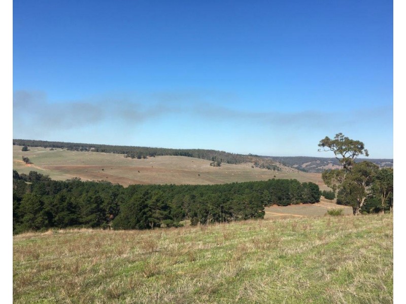 Lot 125 Golden Ash Rise, Bridgetown WA 6255