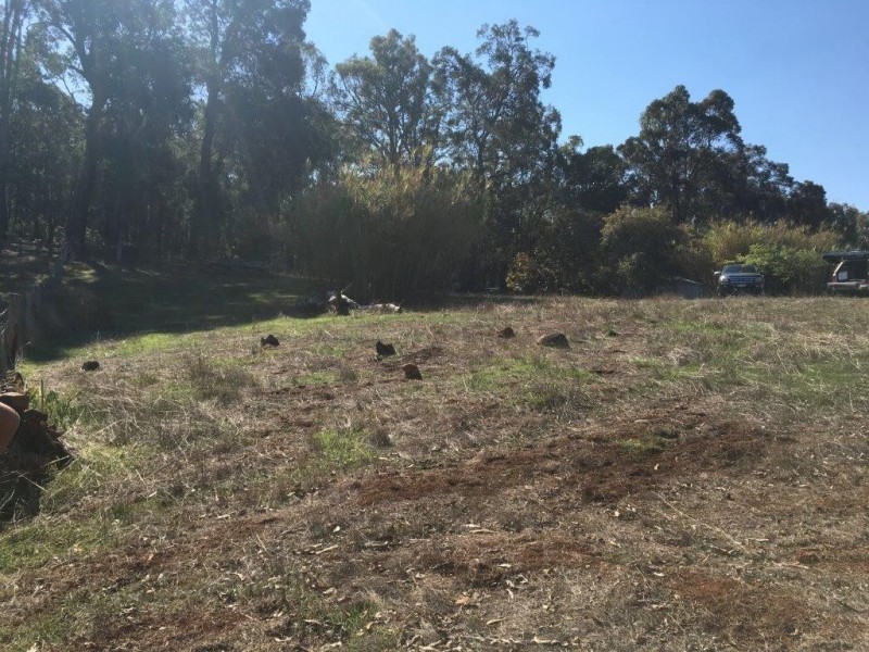 73 Tillman Road, Bridgetown WA 6255