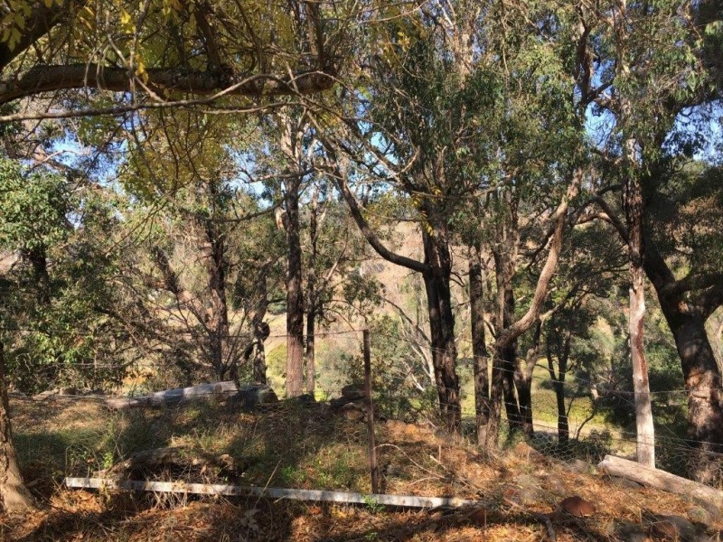 73 Tillman Road, Bridgetown WA 6255