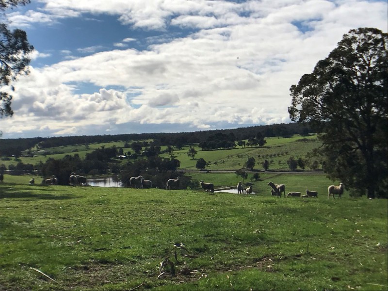 25328 South Western  Highway, Yornup WA 6256