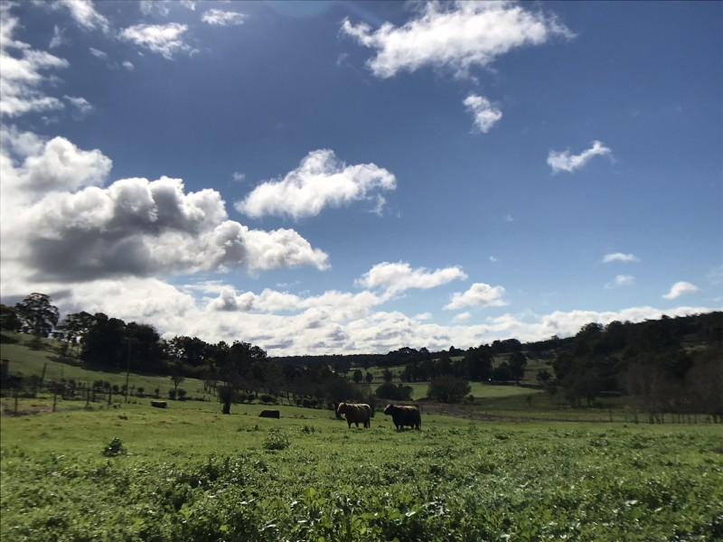 25328 South Western  Highway, Yornup WA 6256