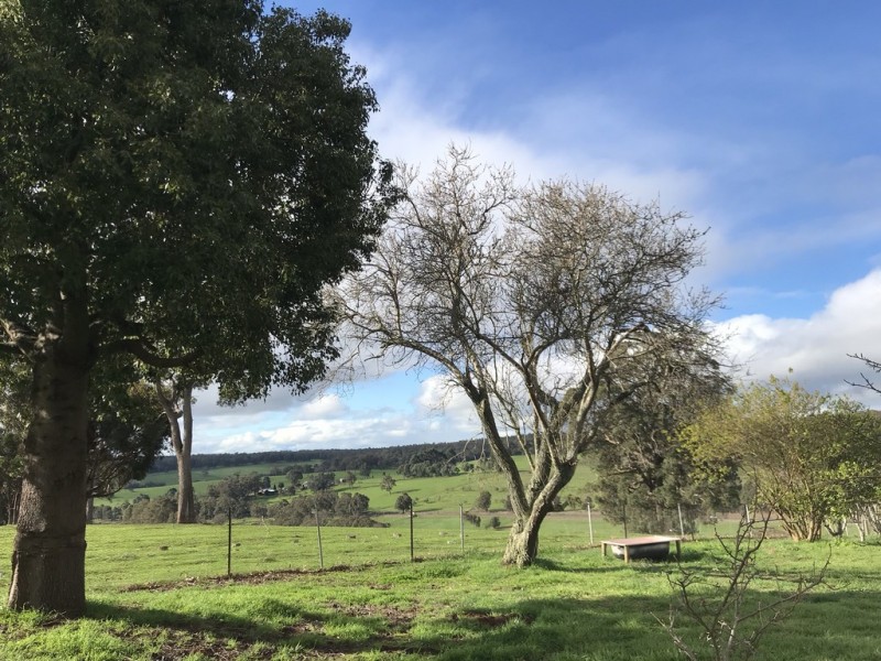 25328 South Western  Highway, Yornup WA 6256