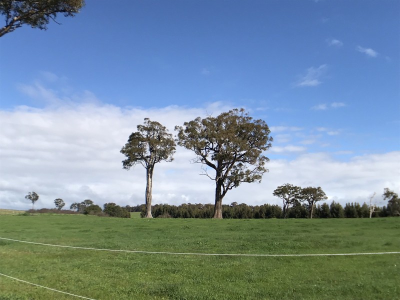 25328 South Western  Highway, Yornup WA 6256