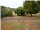 41 Spencer Street, Bridgetown WA 6255