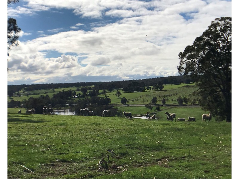 Lot 25328 South Western Highway, Yornup WA 6256