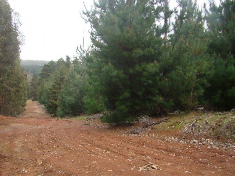 lot 995 Grange Road, Bridgetown WA 6255