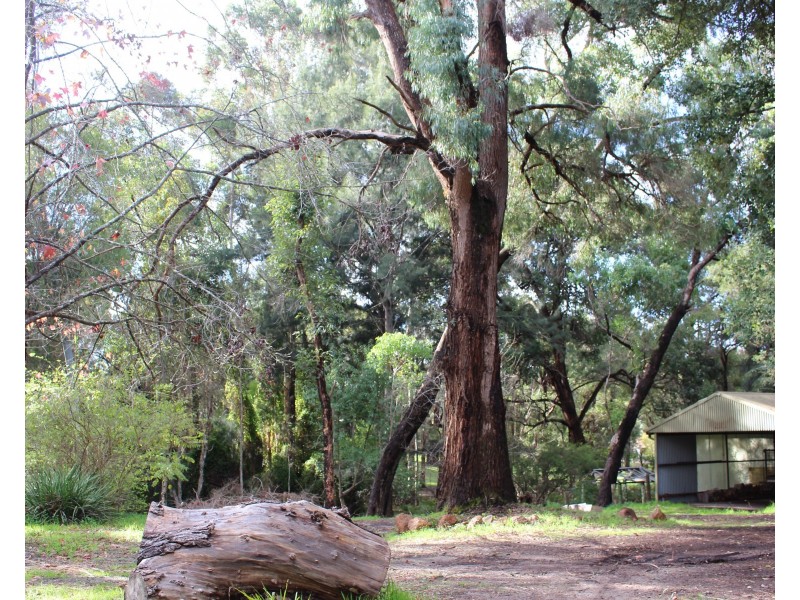 18 Nelson Street, Bridgetown WA 6255