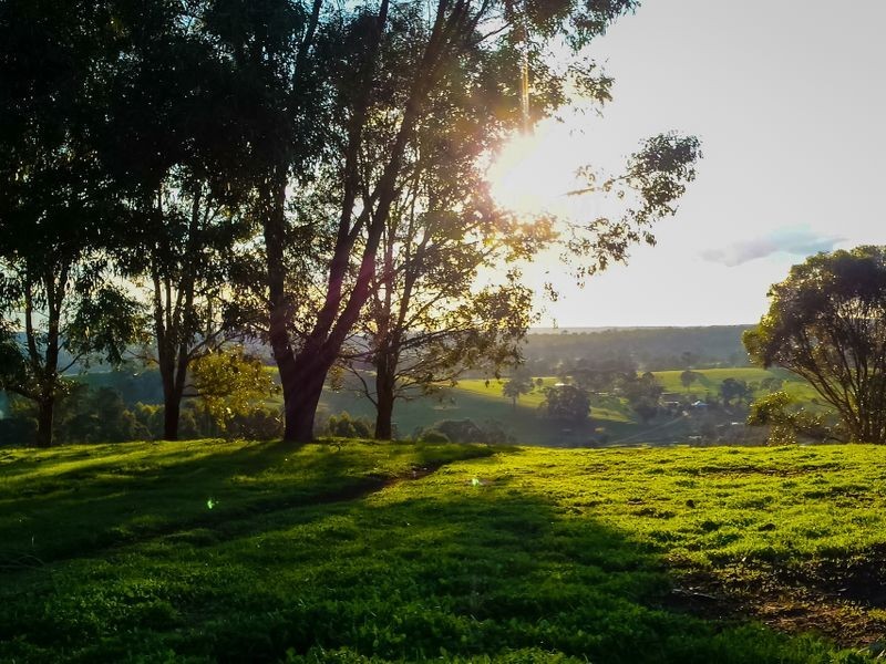 Lot 167 Bovell Street, Balingup WA 6253