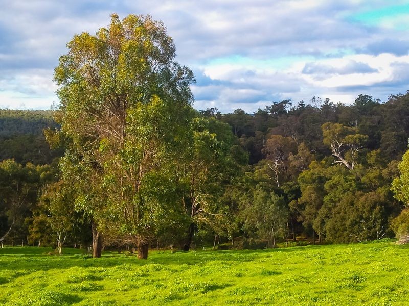 Lot 167 Bovell Street, Balingup WA 6253