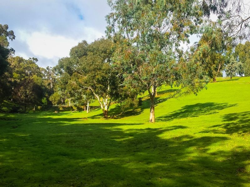 Lot 167 Bovell Street, Balingup WA 6253