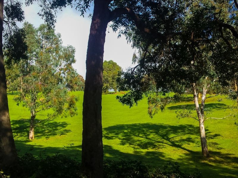 Lot 167 Bovell Street, Balingup WA 6253