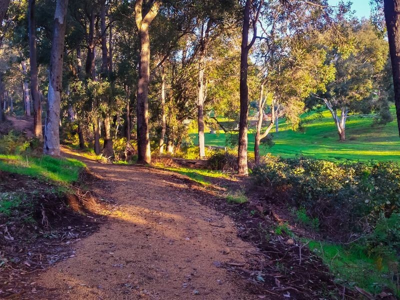 Lot 167 Bovell Street, Balingup WA 6253