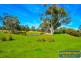 19 Cundinup-Kirup Road Road, Kirup WA 6251
