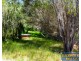98 Greenbushes-Grimwade Road, North Greenbushes WA 6254
