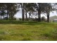74 Skye Lane, Bridgetown WA 6255