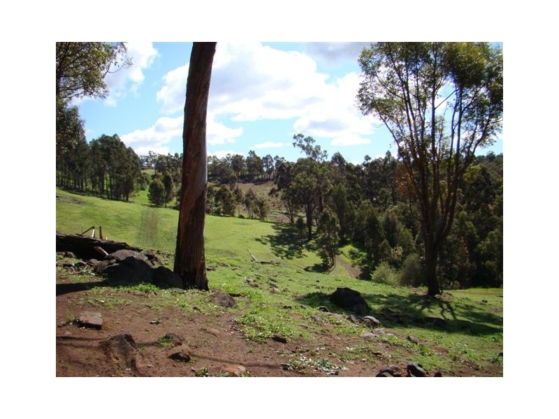 17 Rosella Rise, Bridgetown WA 6255