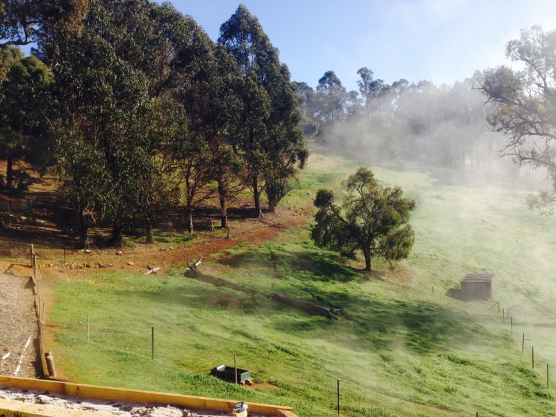 17 Rosella Rise, Bridgetown WA 6255