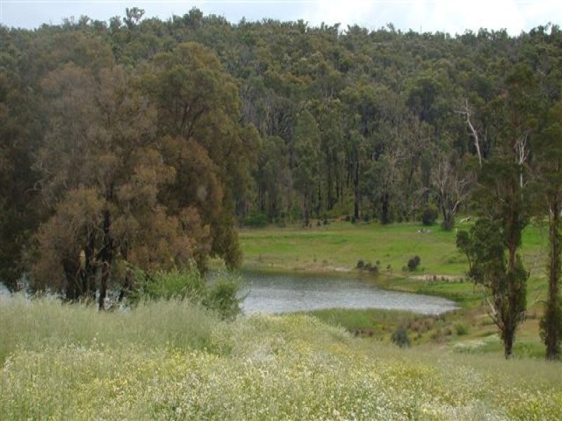 247 Aberdeen Avenue, Bridgetown WA 6255