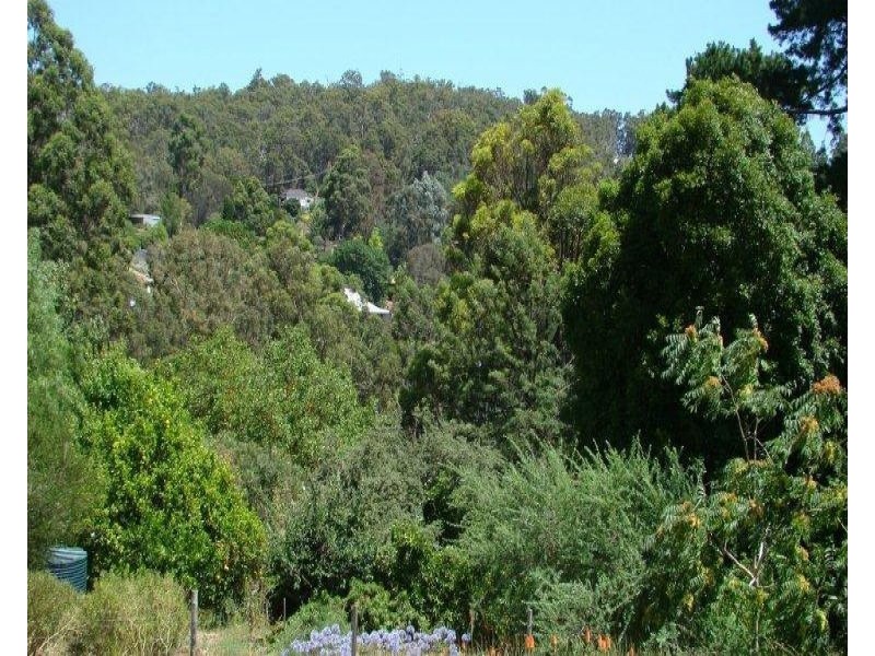 5 Carey Street, Bridgetown WA 6255