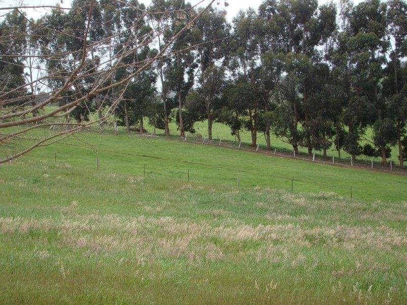 Lot 88 Maple View, Bridgetown WA 6255