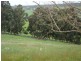 Lot 88 Maple View, Bridgetown WA 6255