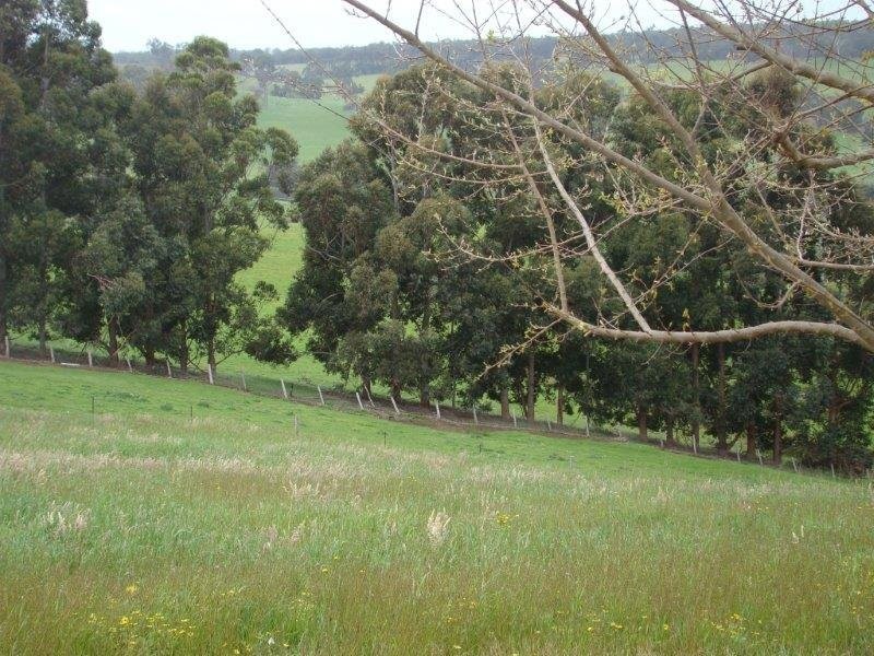 Lot 88 Maple View, Bridgetown WA 6255