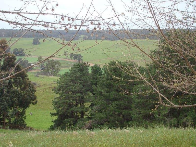 Lot 88 Maple View, Bridgetown WA 6255