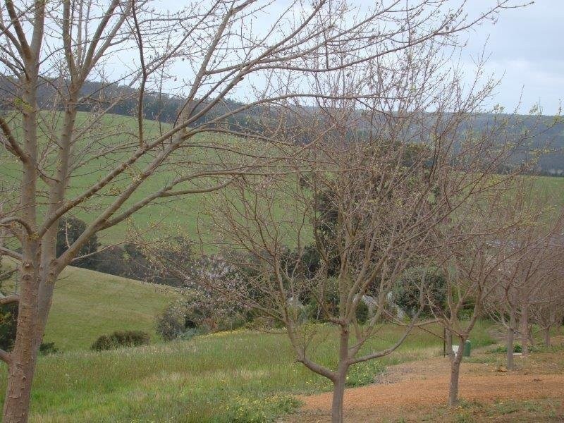Lot 88 Maple View, Bridgetown WA 6255