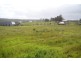 41 Argyll Avenue, Bridgetown WA 6255