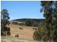 44 Warburton Road, Bridgetown WA 6255