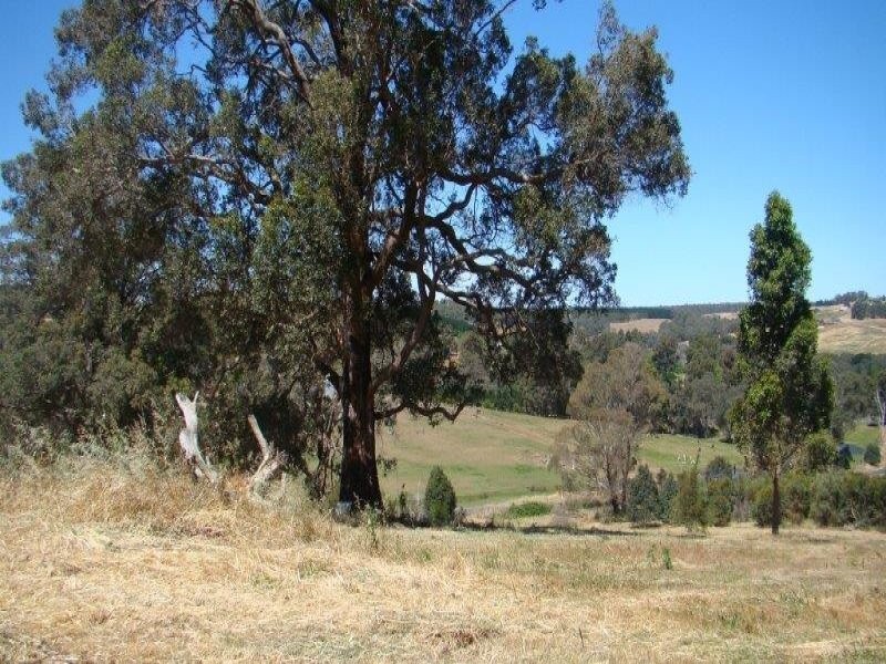 44 Warburton Road, Bridgetown WA 6255