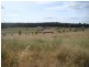 246 Aberdeen Avenue, Bridgetown WA 6255