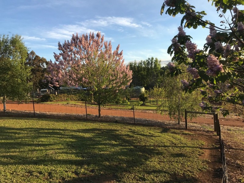 11 Nickajack Place, Bridgetown WA 6255