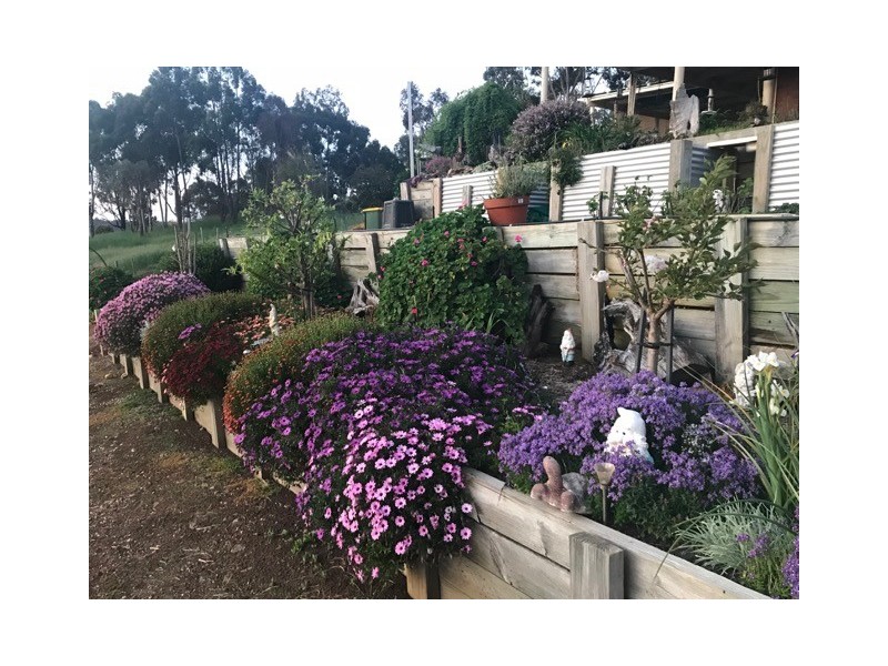 11 Nickajack Place, Bridgetown WA 6255