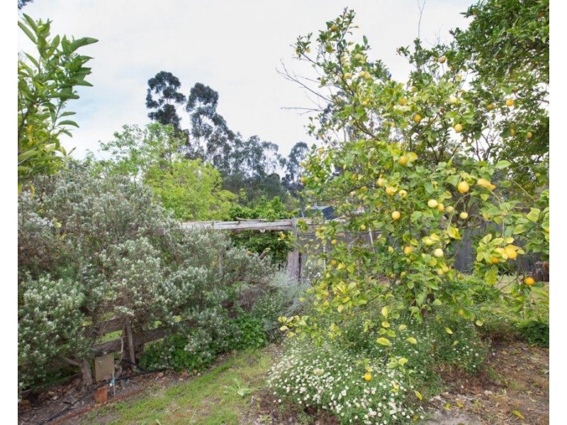 33 Gifford Road, Bridgetown WA 6255