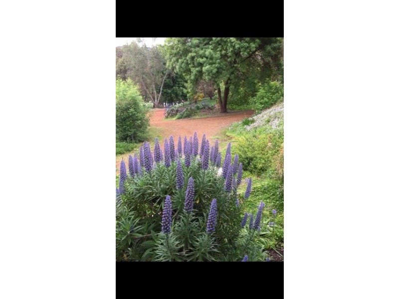 11 West Blackwood Terrace, Bridgetown WA 6255