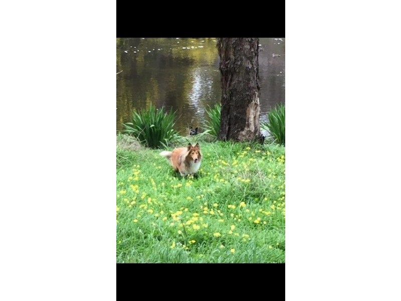 11 West Blackwood Terrace, Bridgetown WA 6255