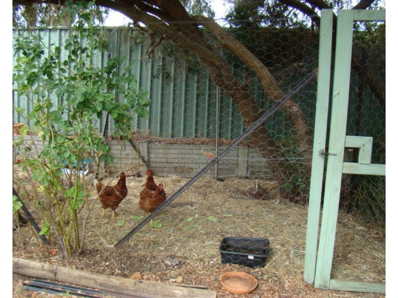 26 Gifford Road, Bridgetown WA 6255